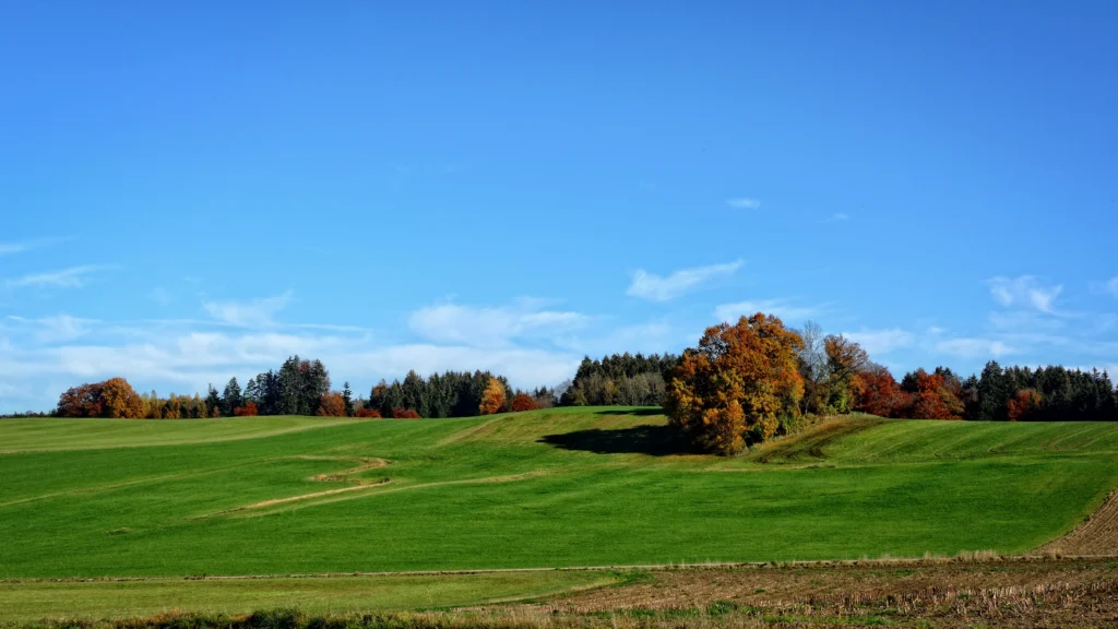 Landschaft in Bad König